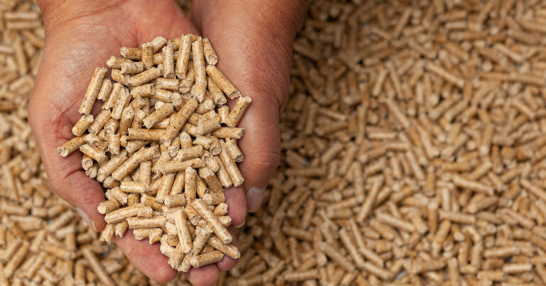 Biomasa drzewna - pellet